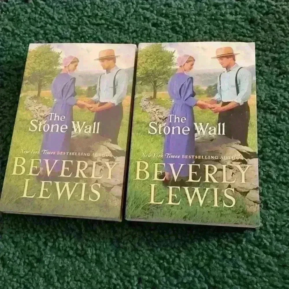 The Stonewall by Beverly Lewis - Picture 2 of 5